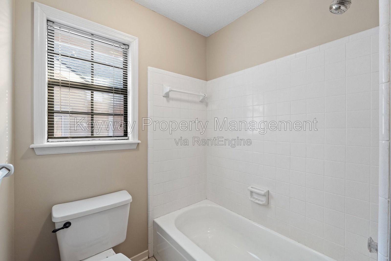 Gallery Image 18