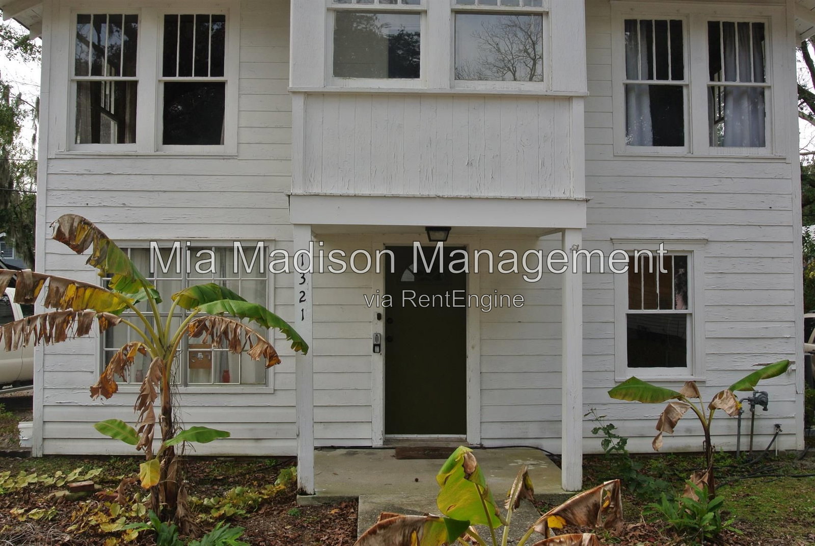 Gallery Image 0