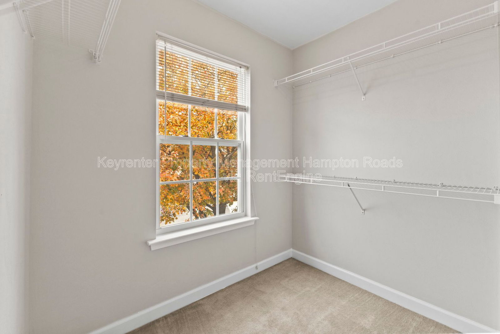 Gallery Image 26