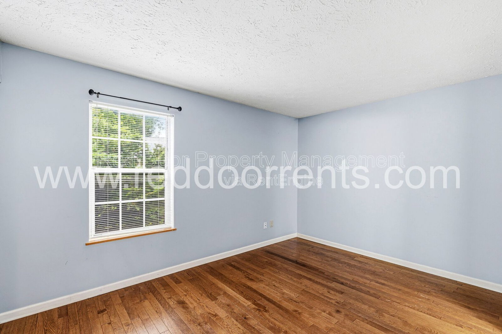 Gallery Image 19