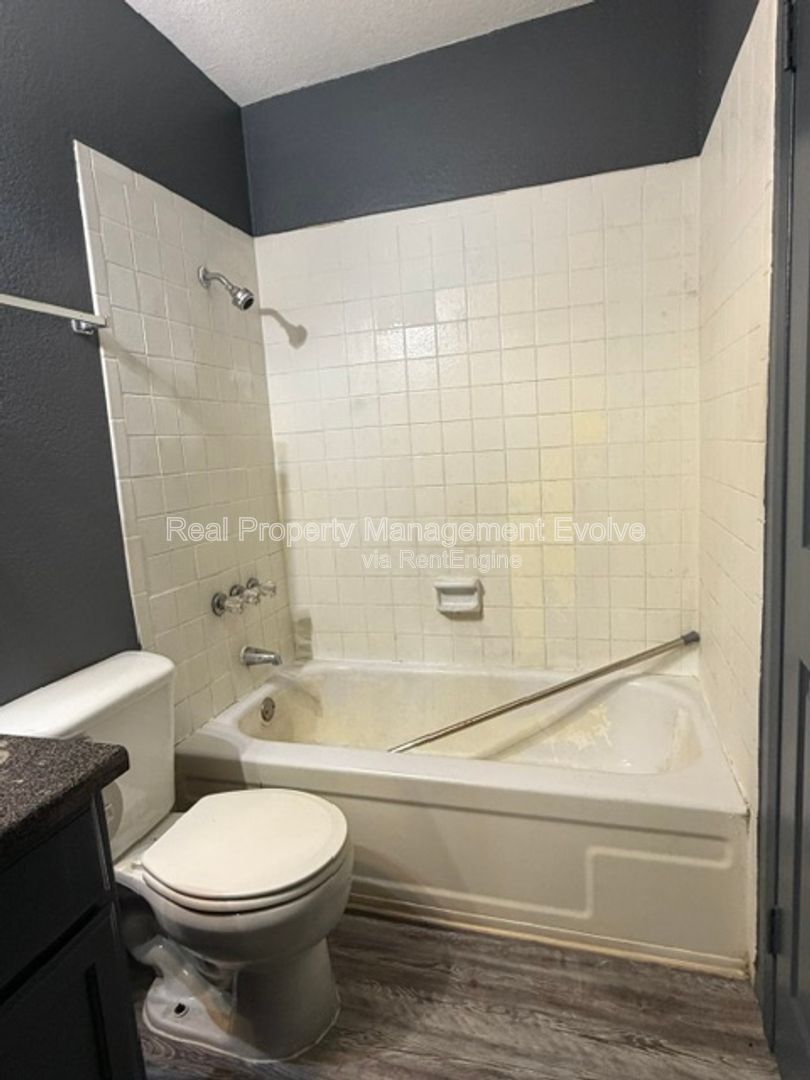 Gallery Image 15