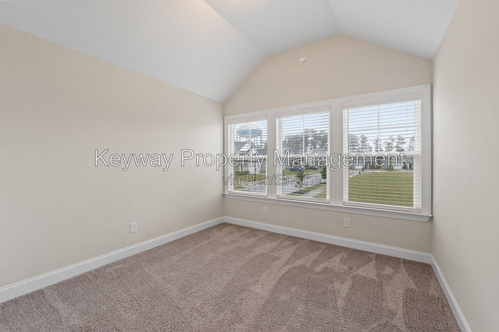 Gallery Image 16