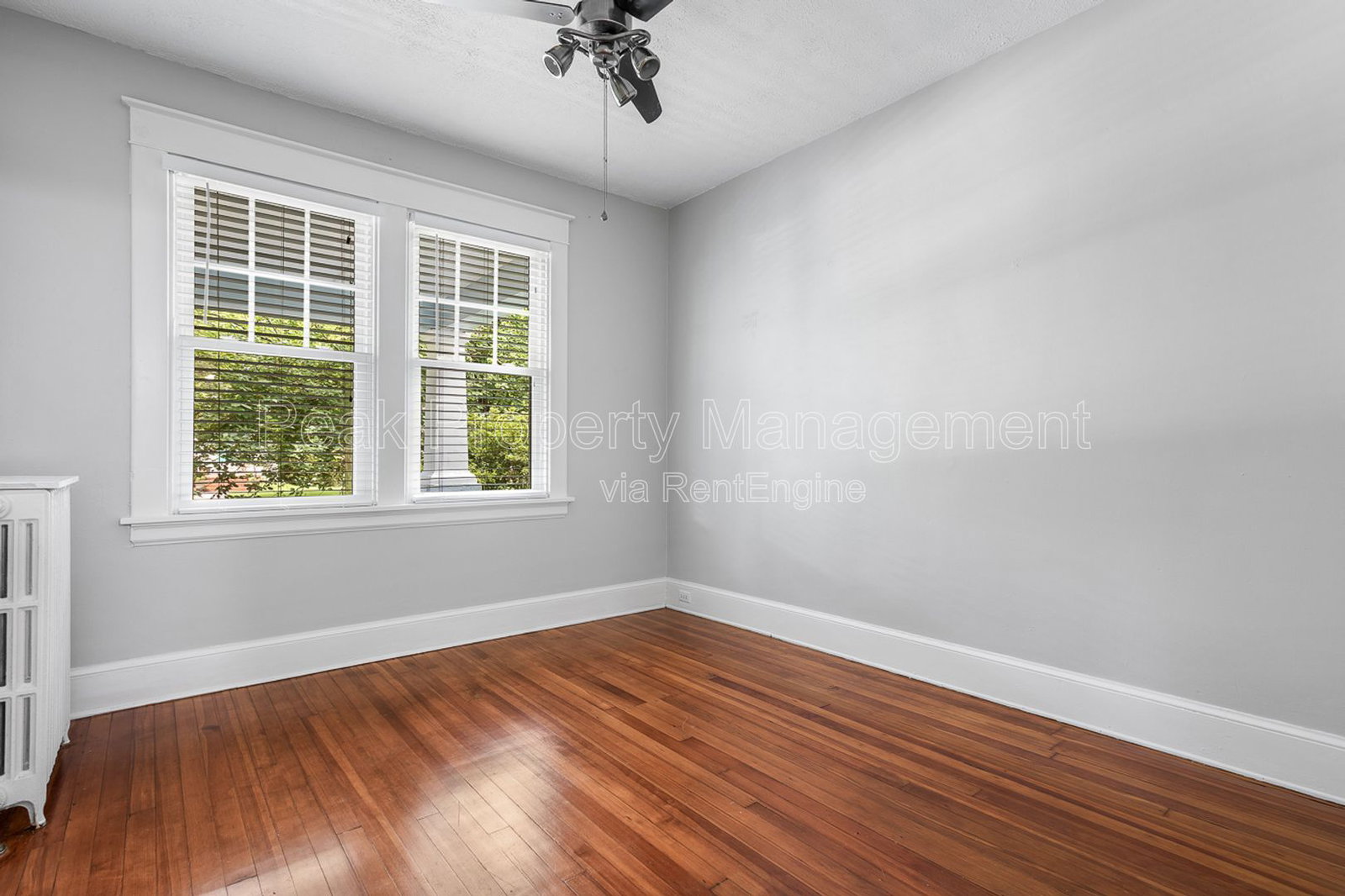 Gallery Image 19