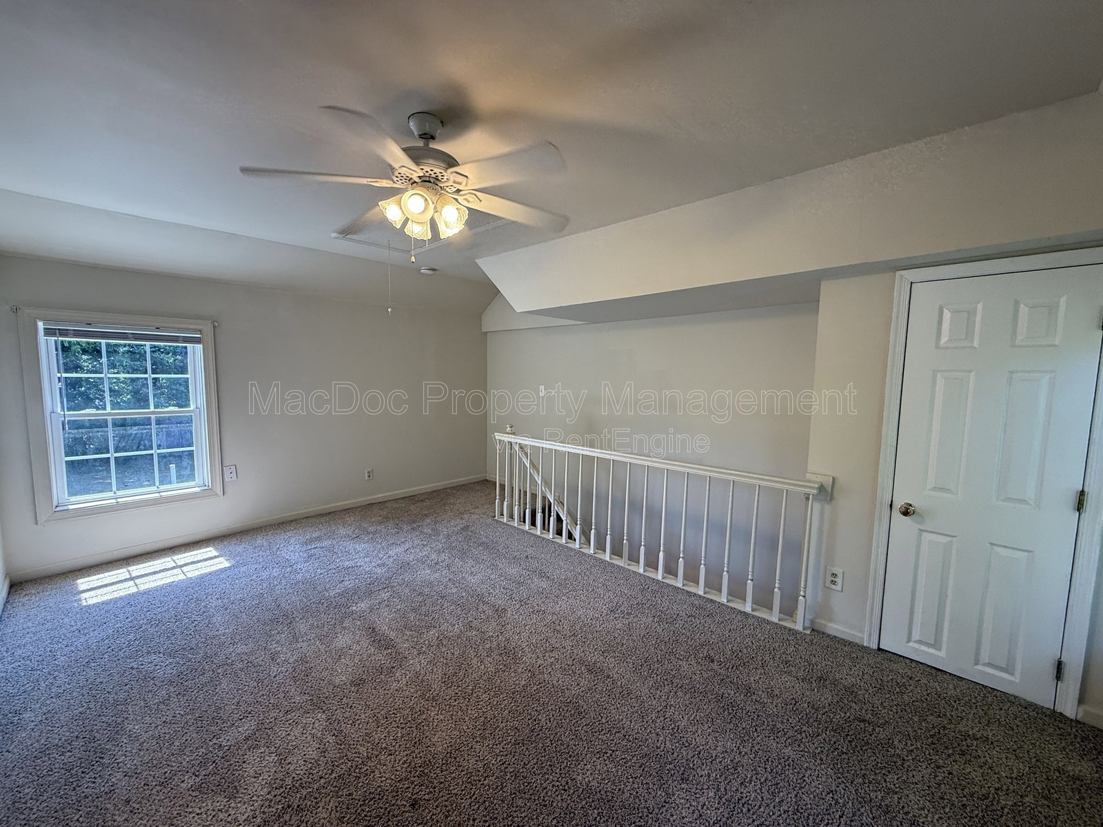 Gallery Image 19