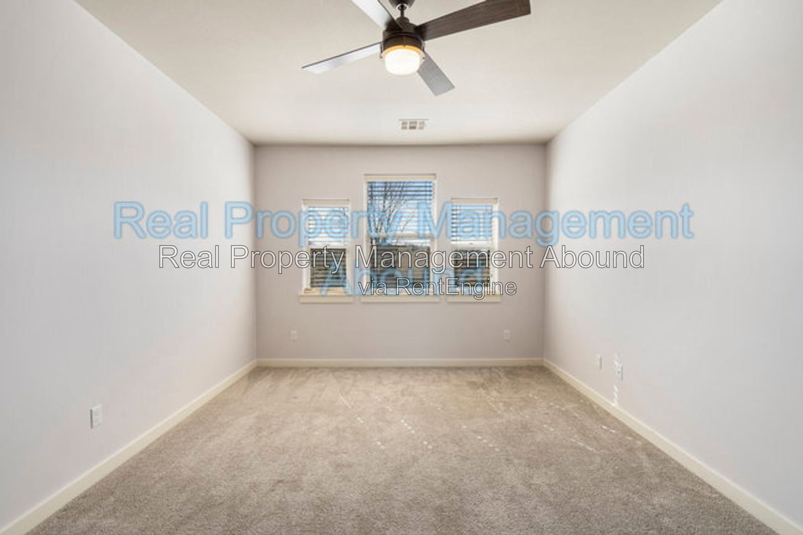 Gallery Image 43