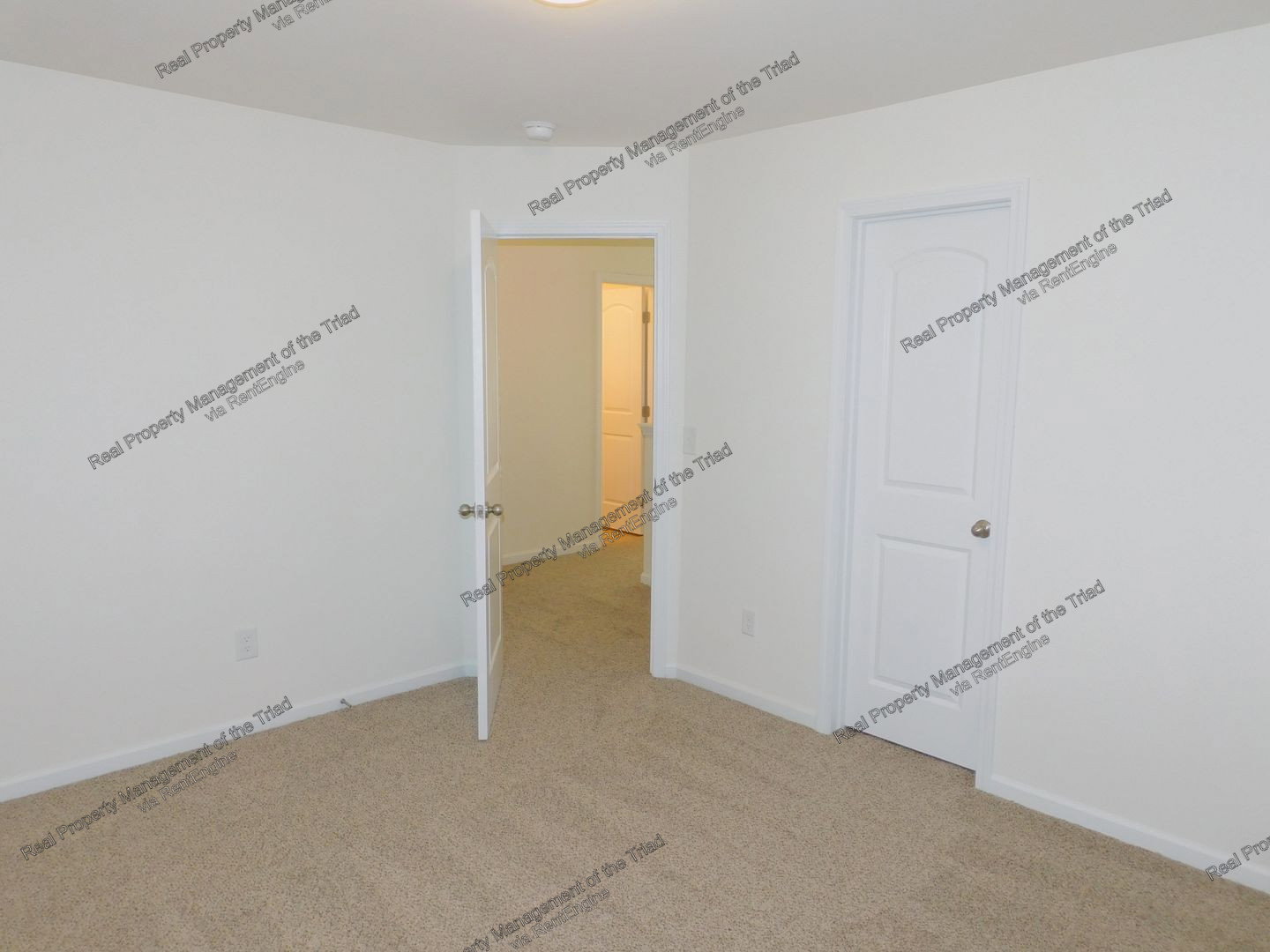 Gallery Image 19