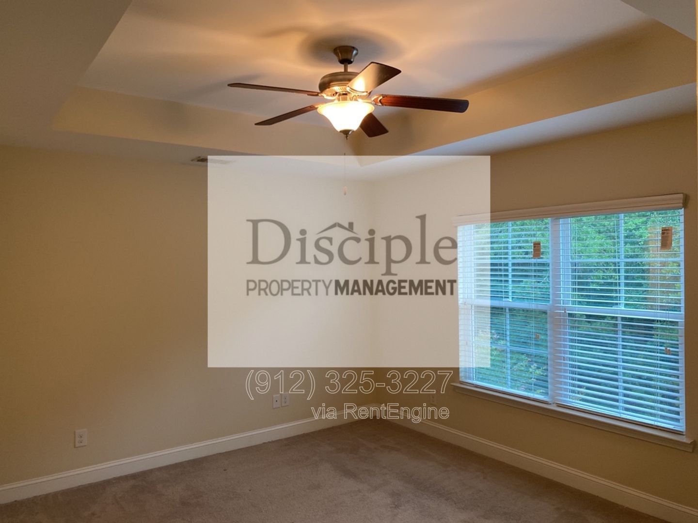 Gallery Image 14