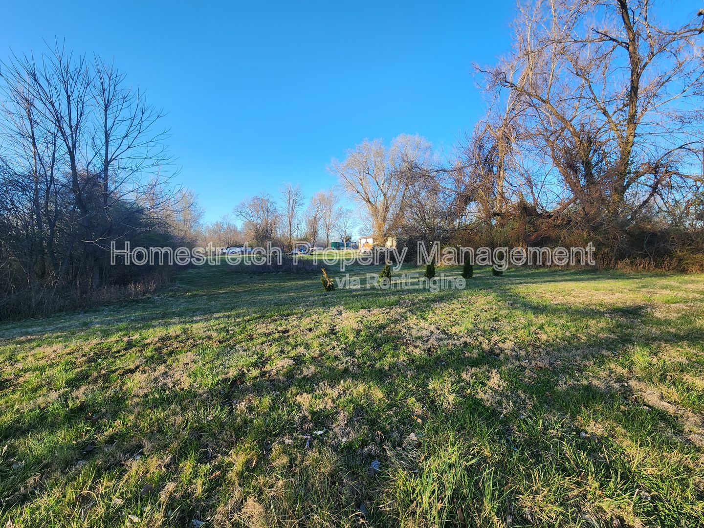Gallery Image 16