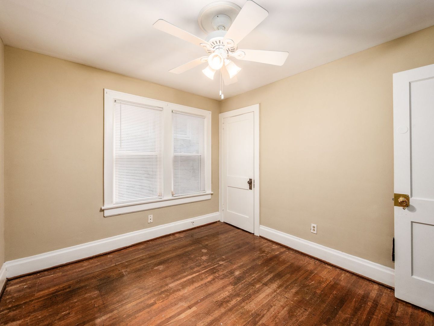 Gallery Image 14