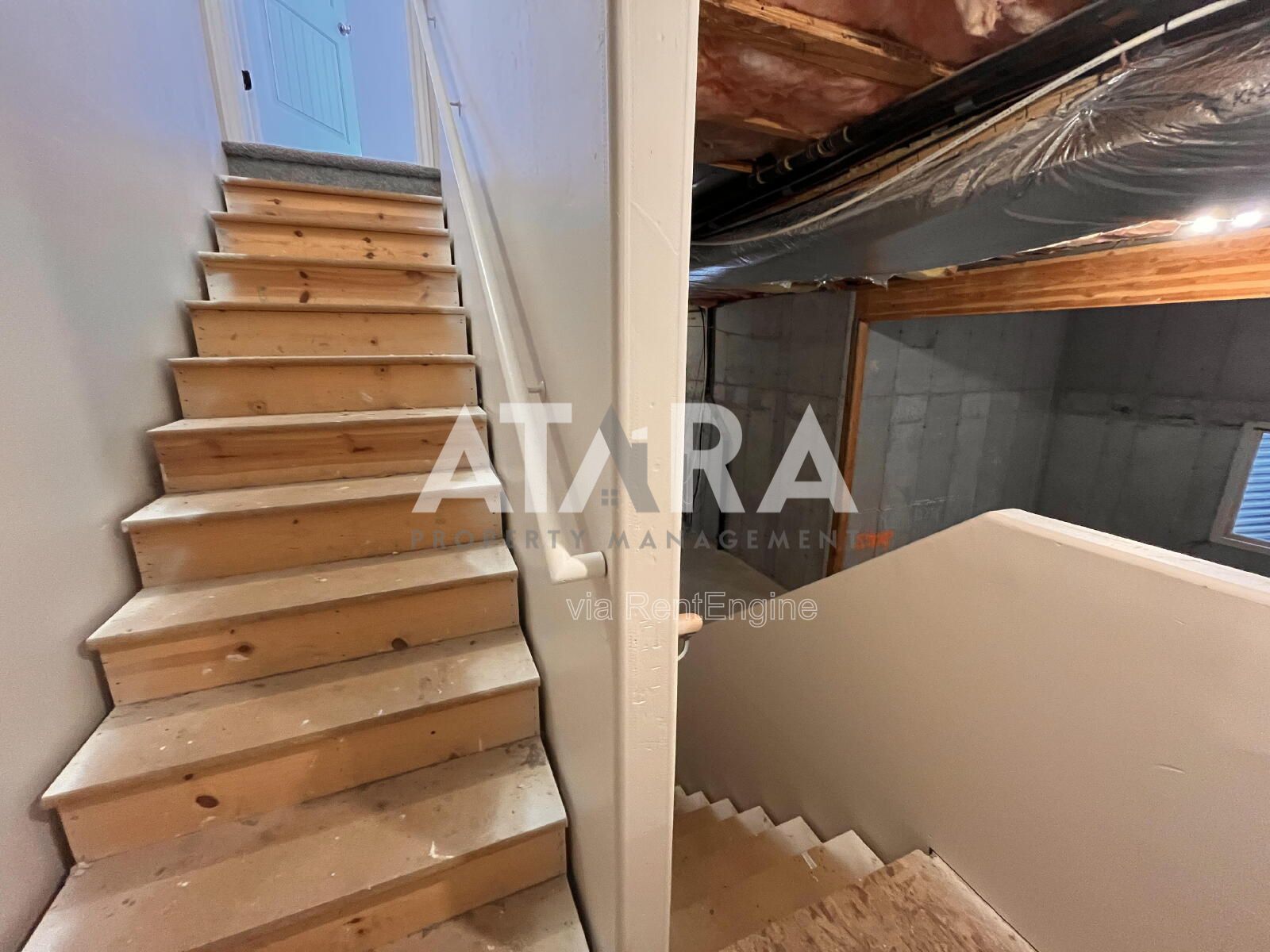 Gallery Image 41