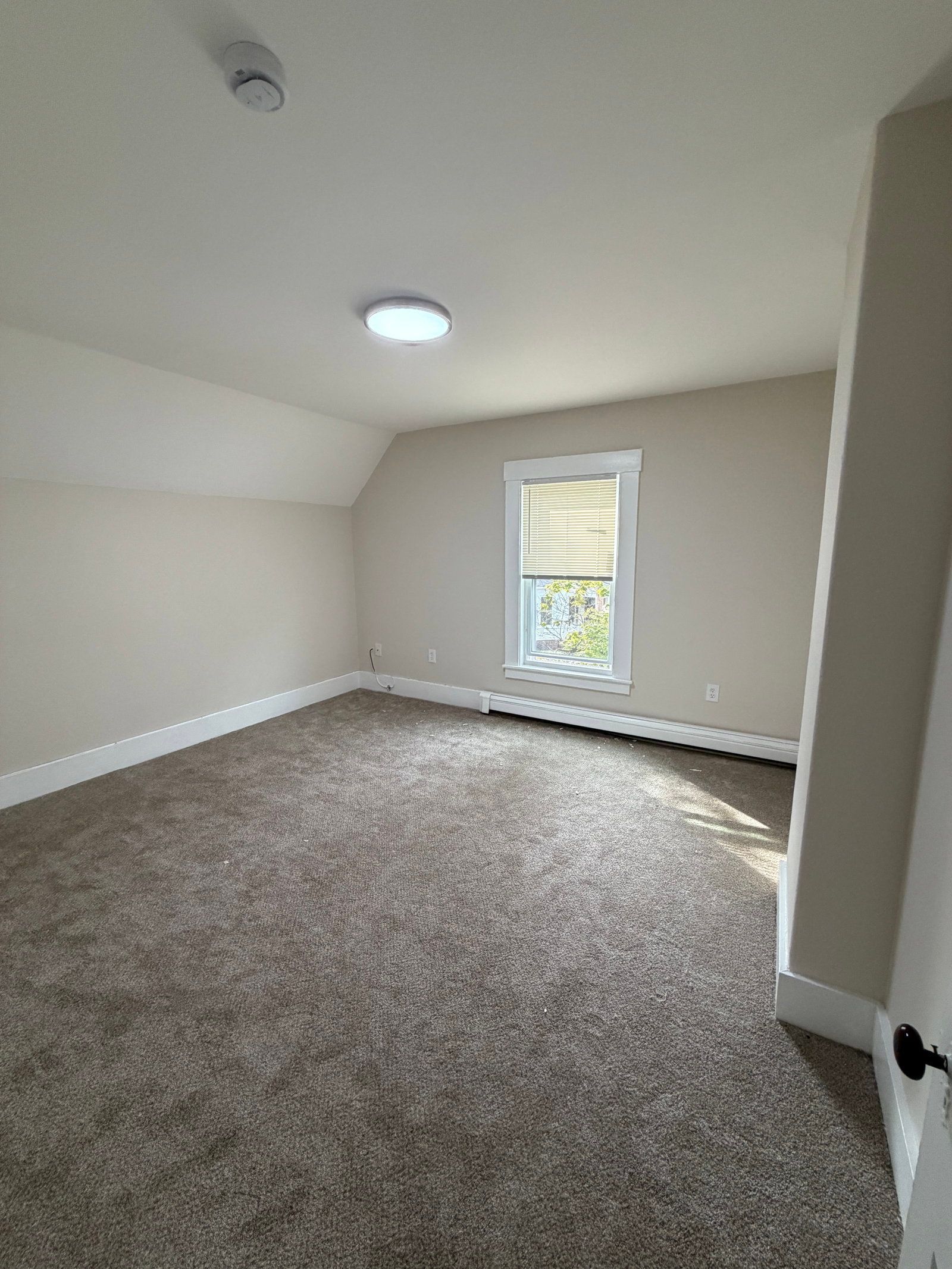 Gallery Image 0