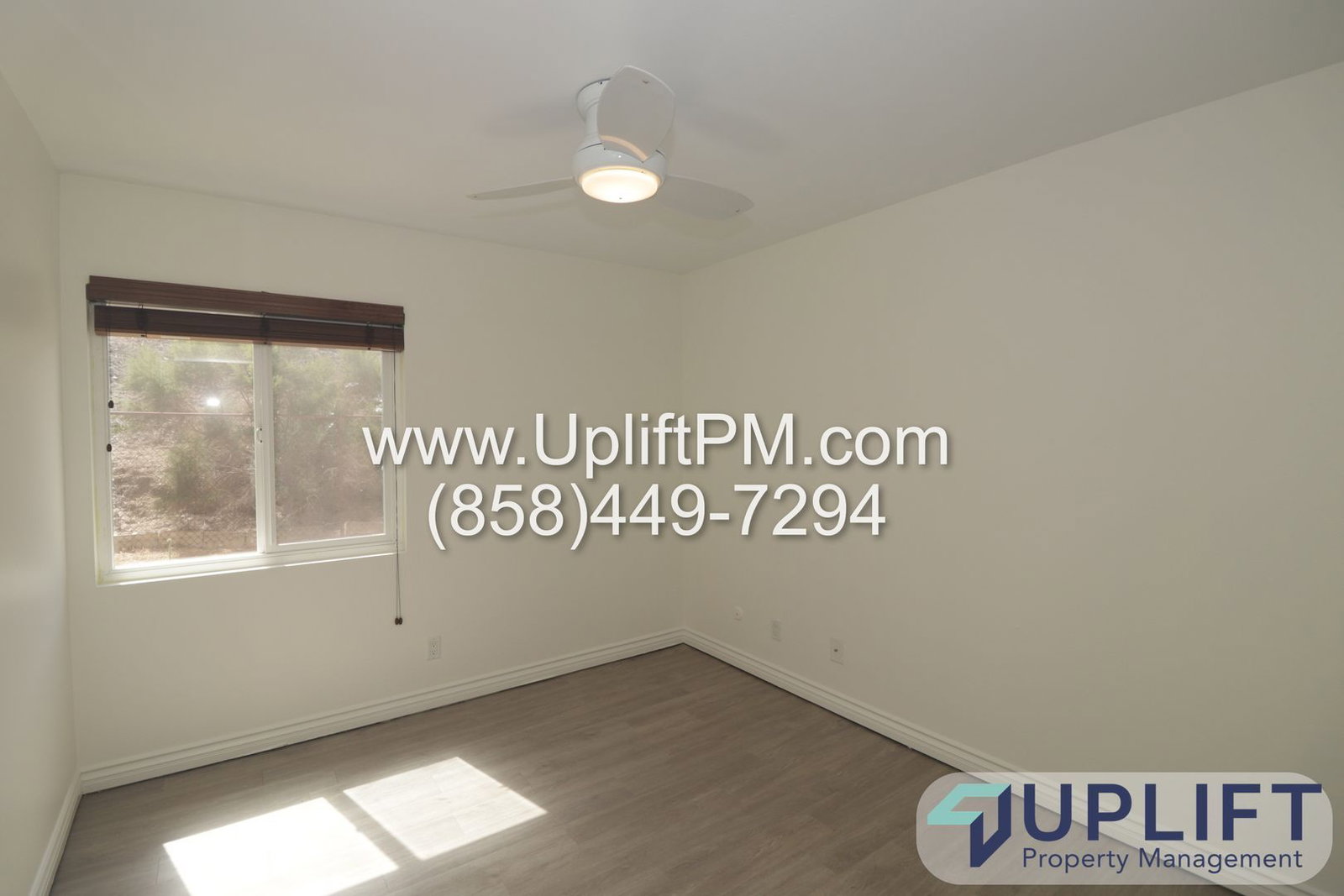 Gallery Image 8