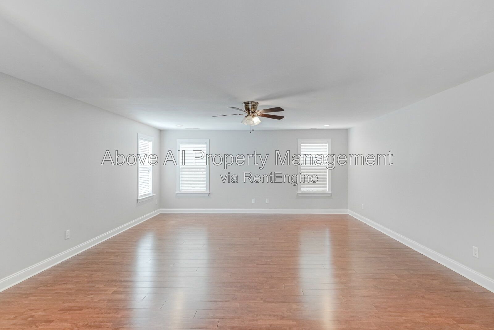 Gallery Image 47
