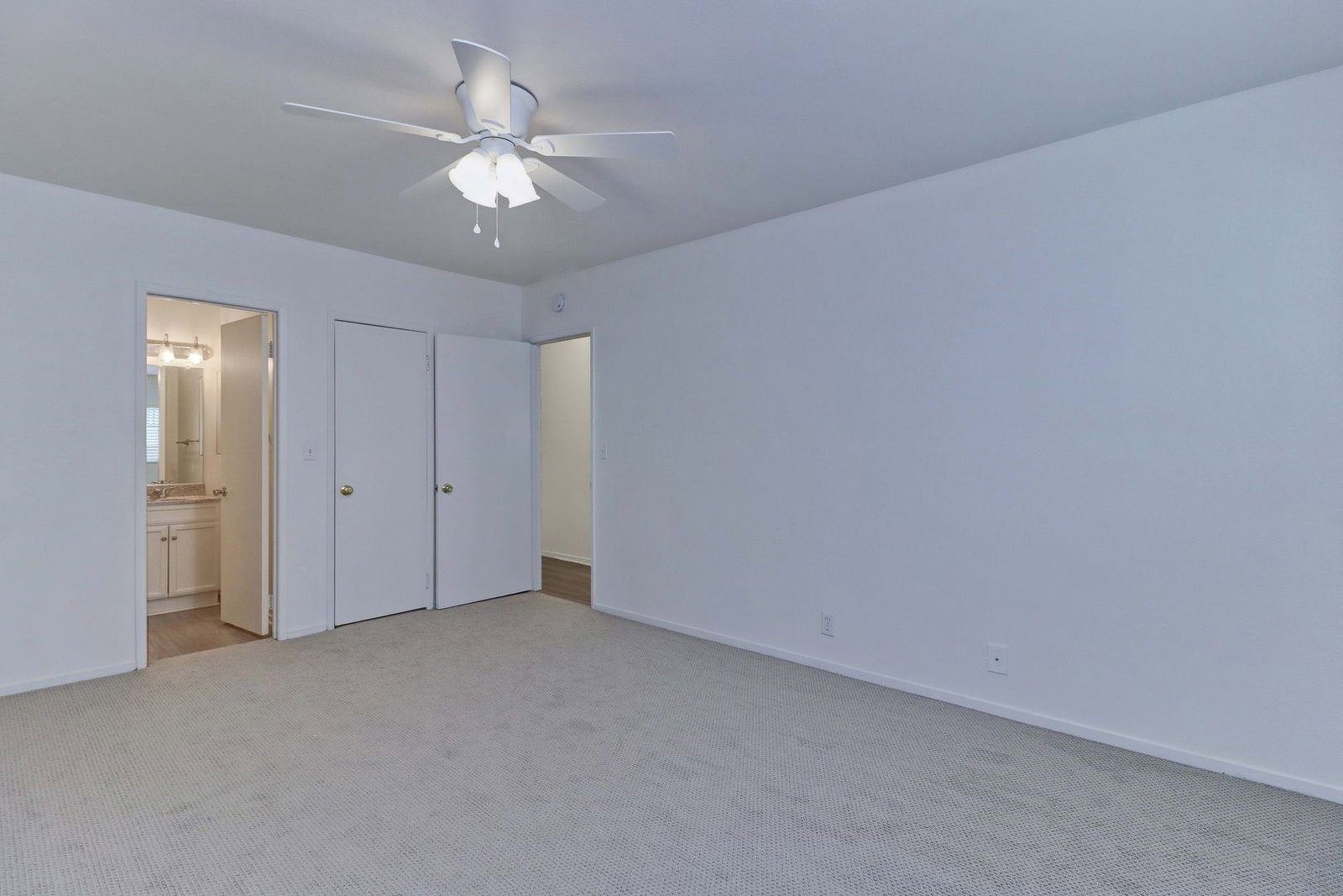 Gallery Image 19