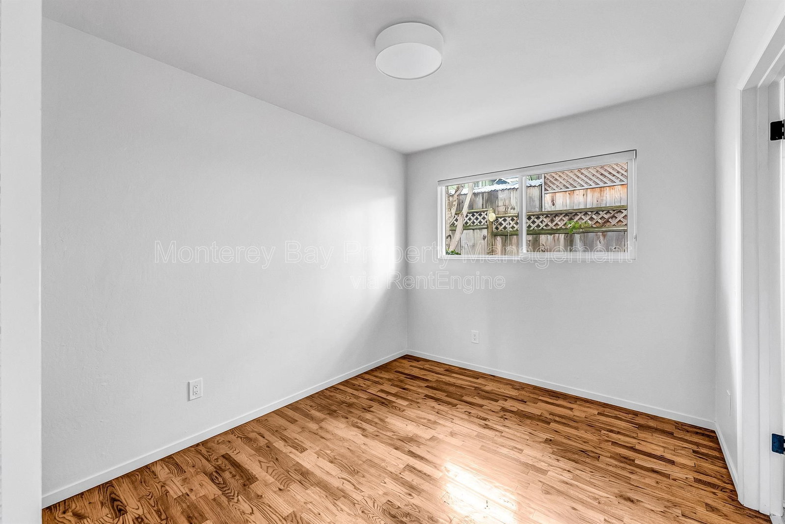 Gallery Image 19