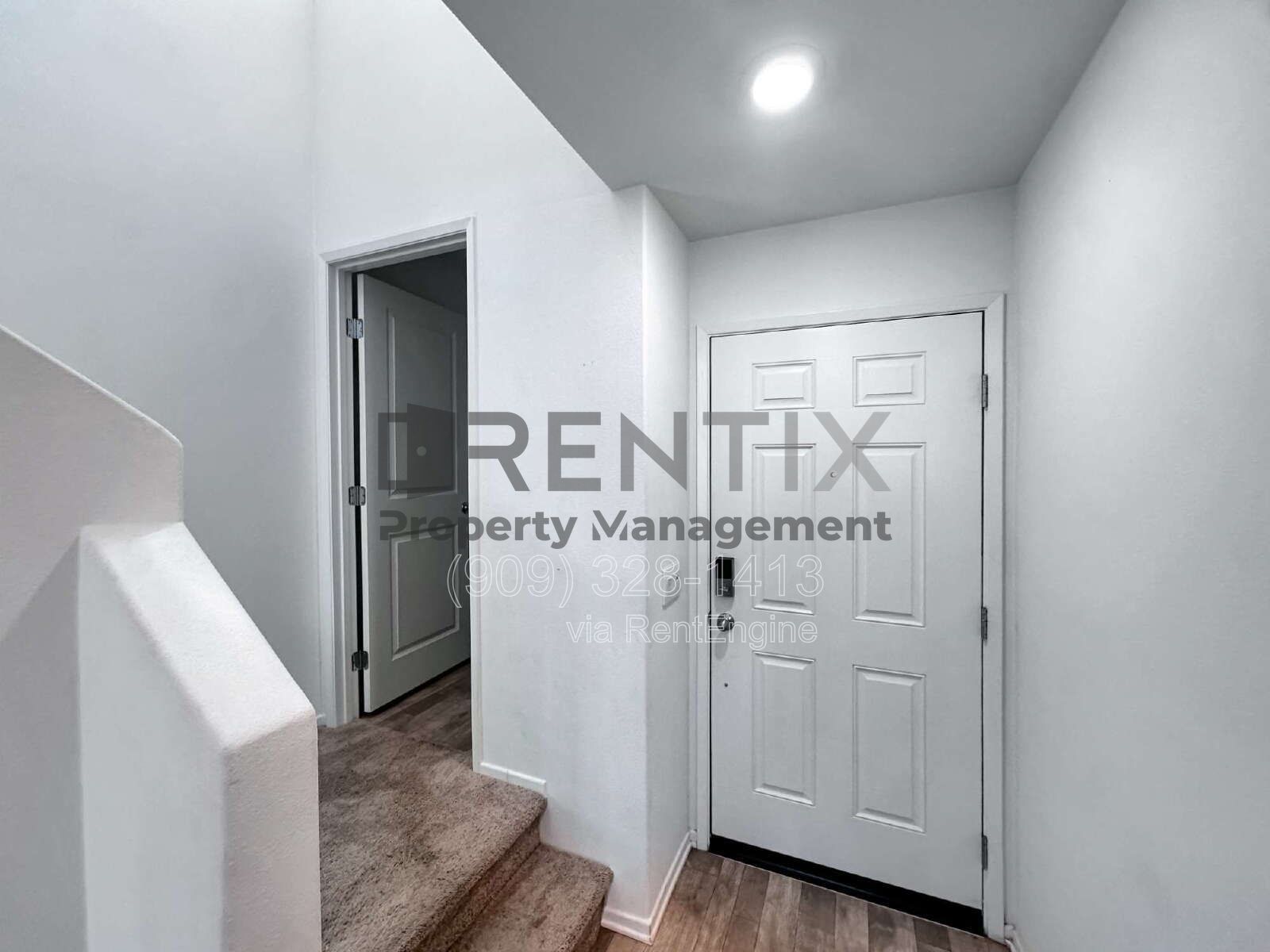 Gallery Image 11