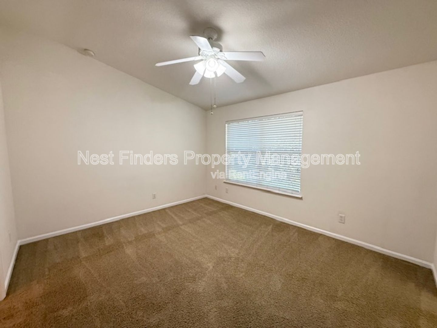 Gallery Image 20