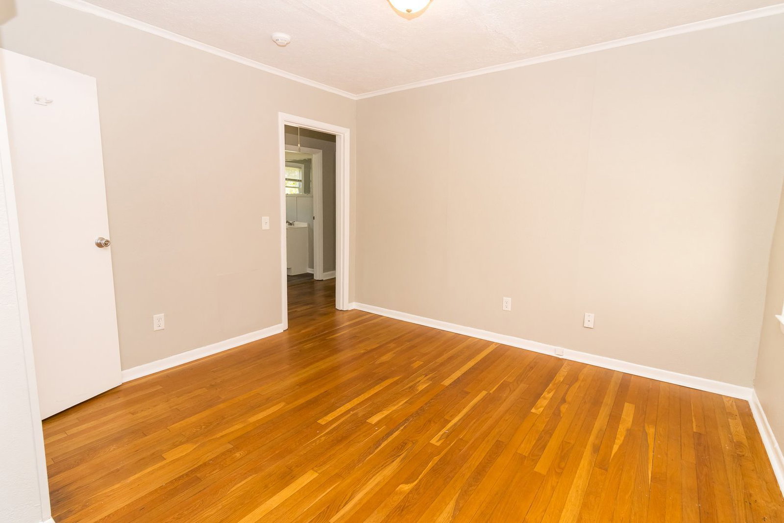 Gallery Image 7