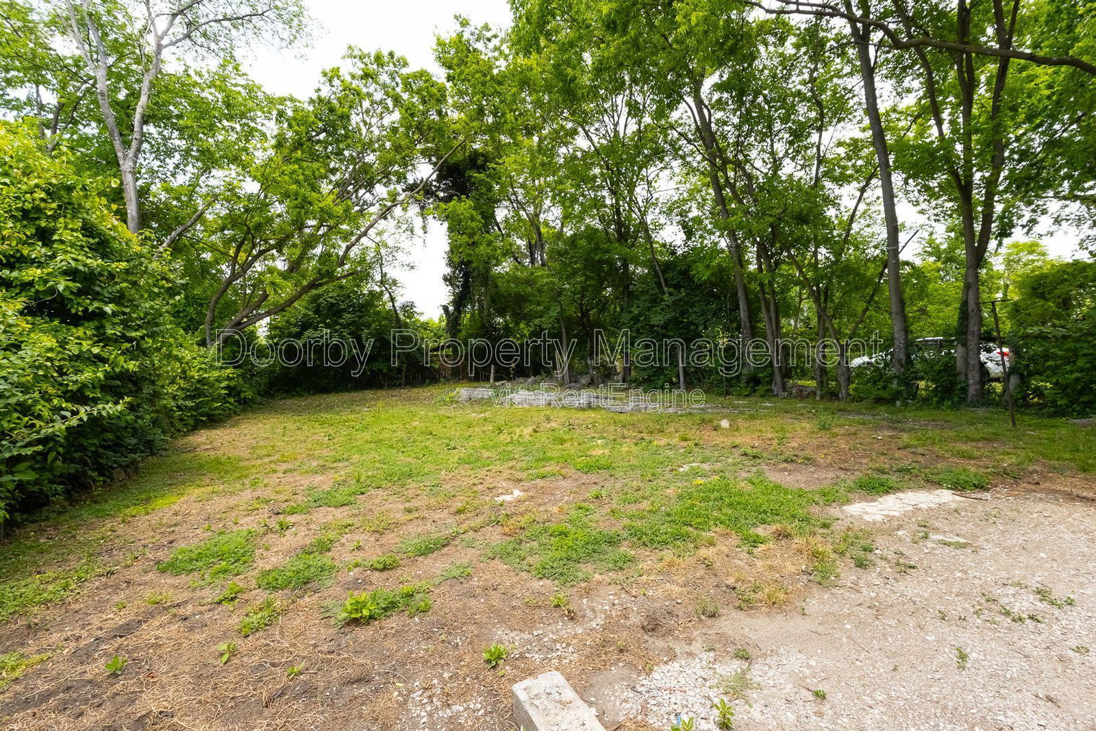 Gallery Image 14