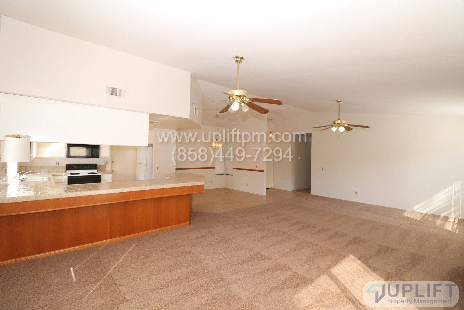 Gallery Image 0