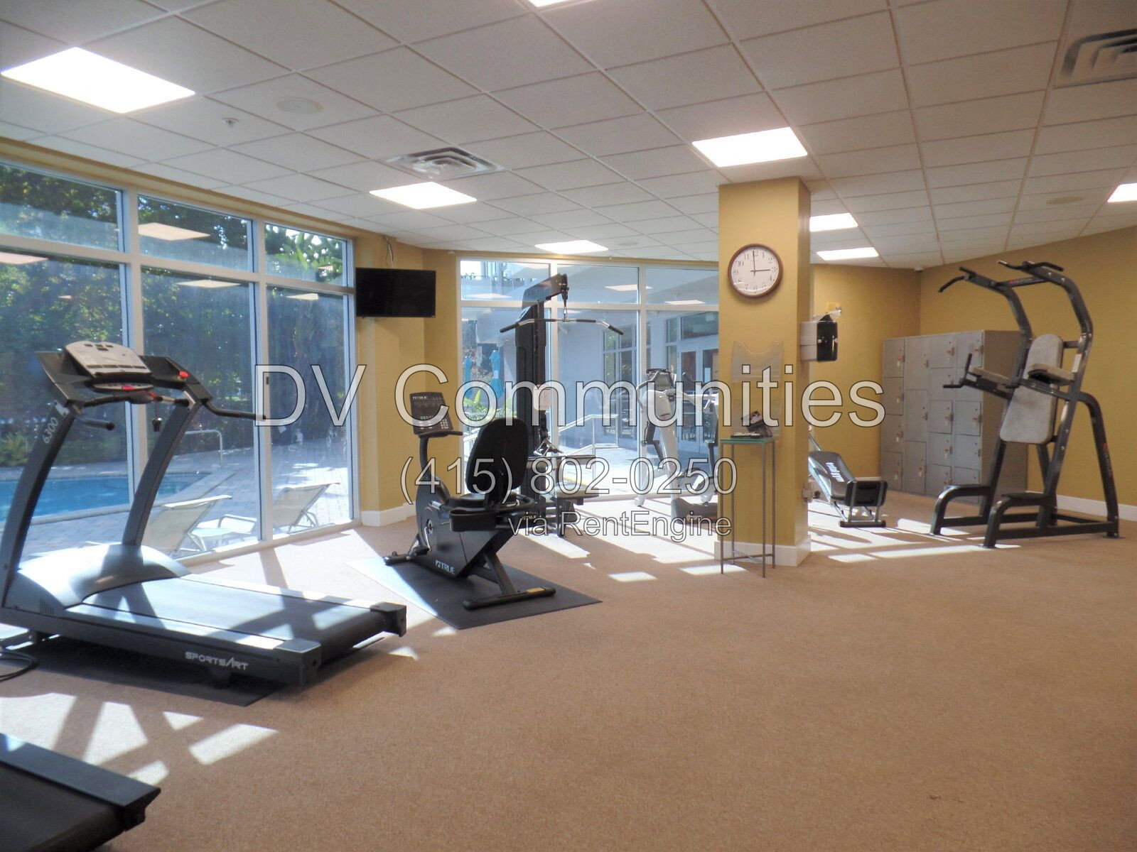 Gallery Image 16