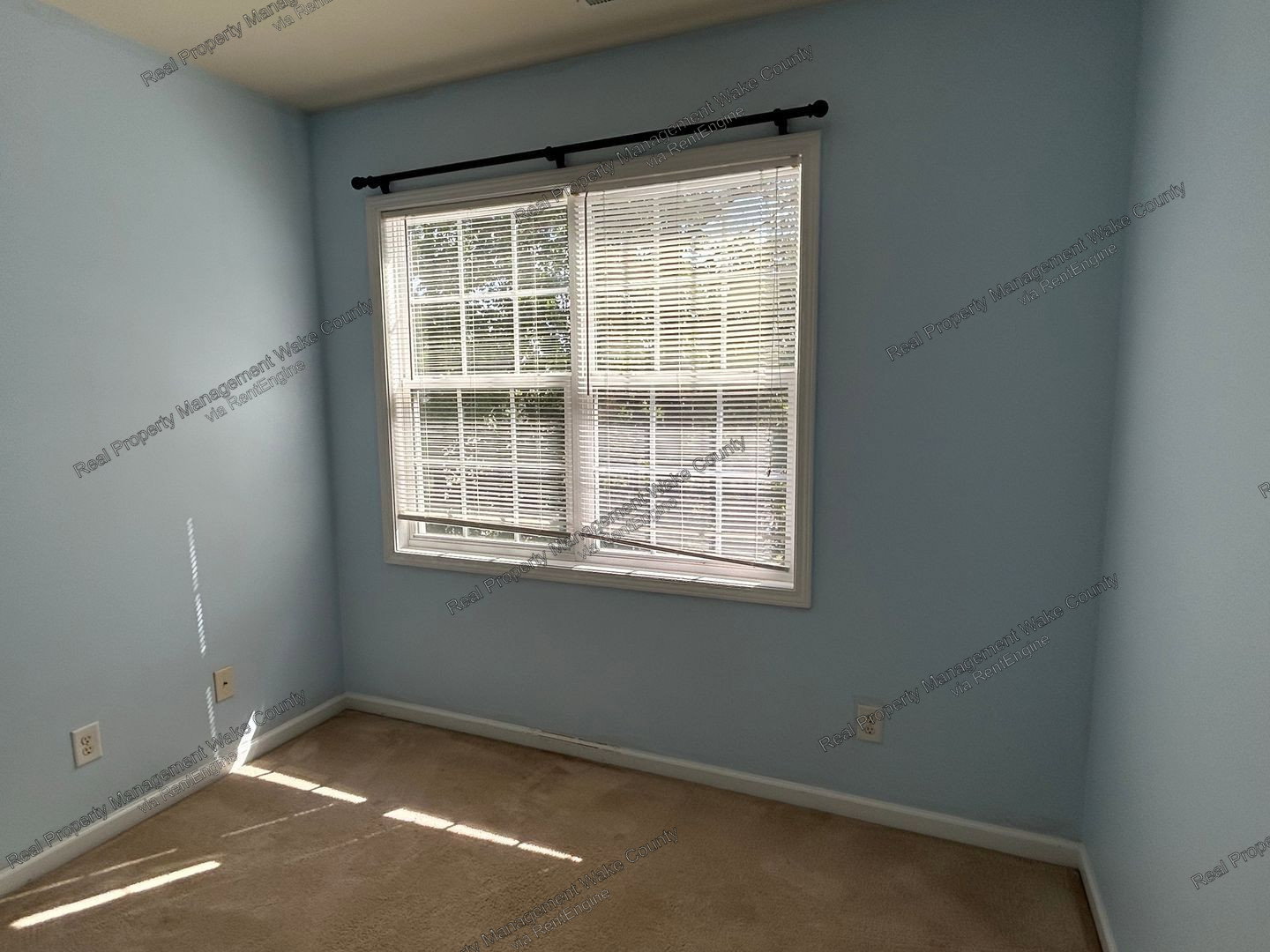 Gallery Image 41