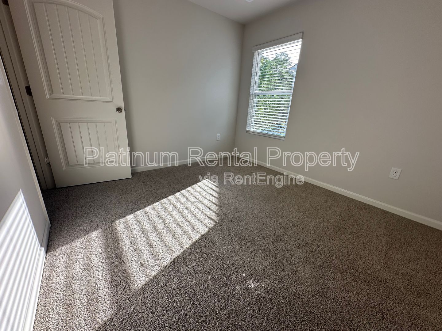 Gallery Image 43