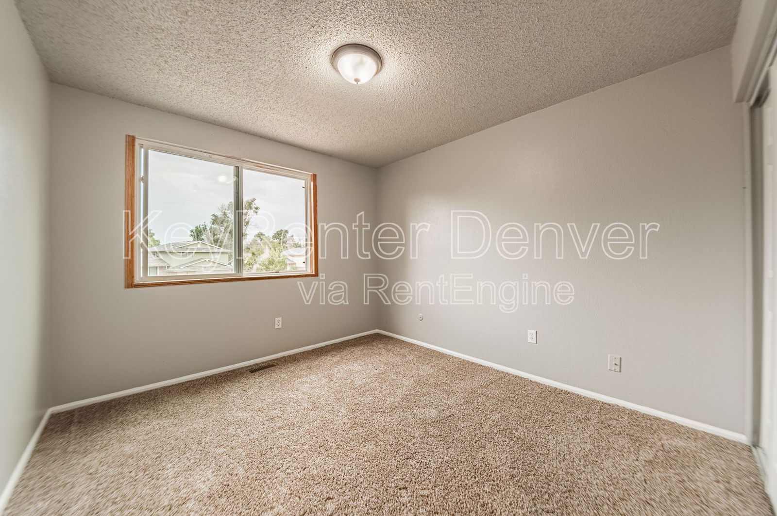 Gallery Image 38