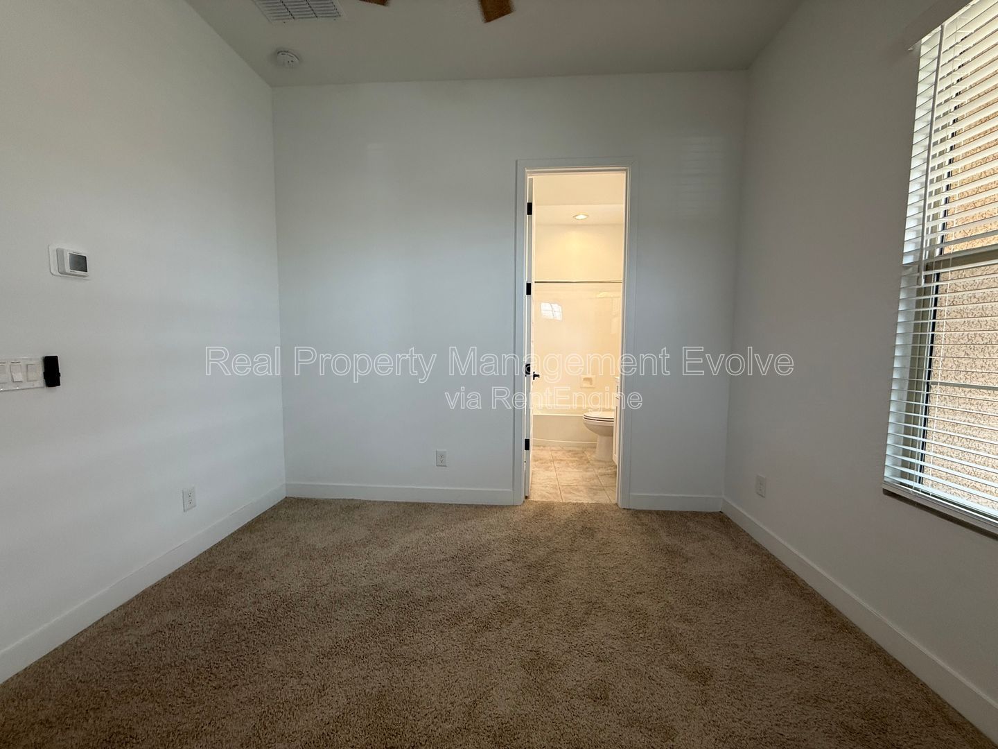 Gallery Image 48