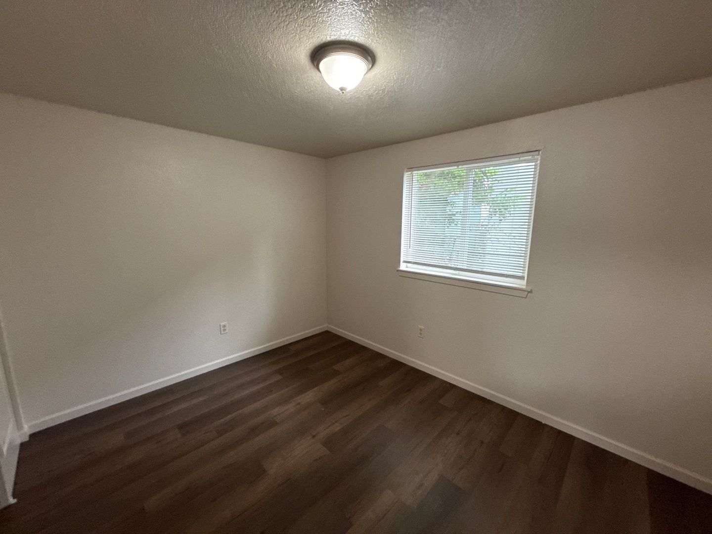 Gallery Image 19