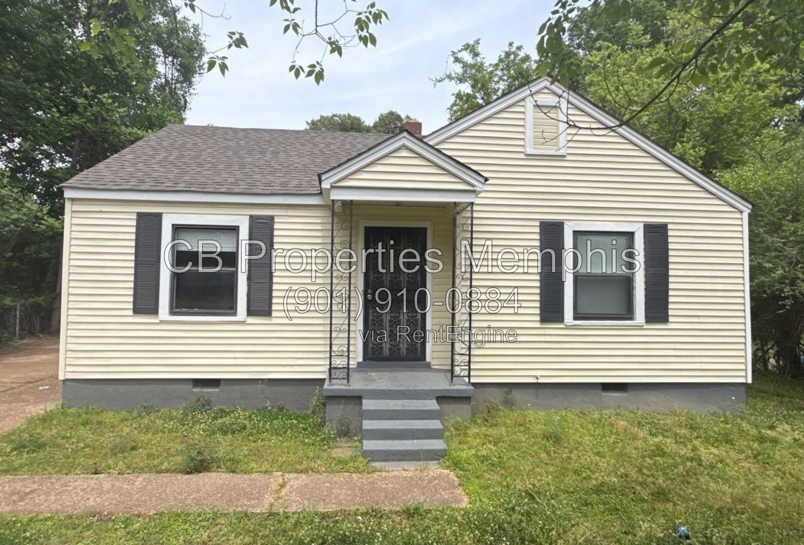 Gallery Image 0