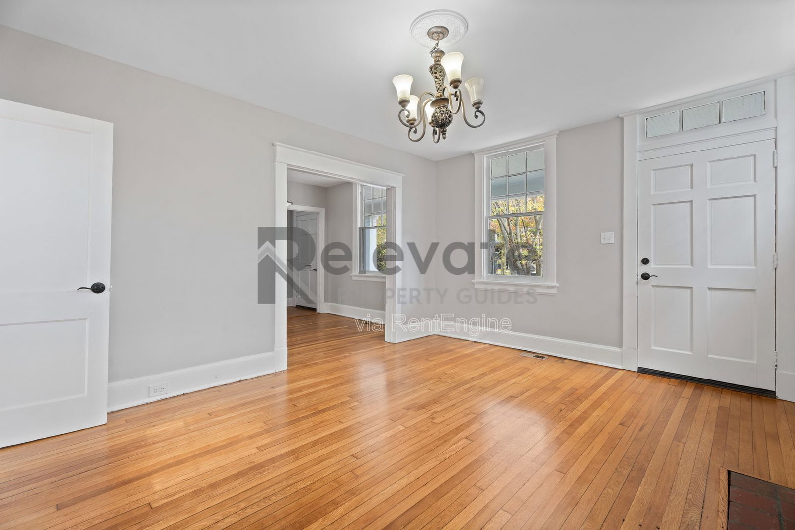 Gallery Image 11