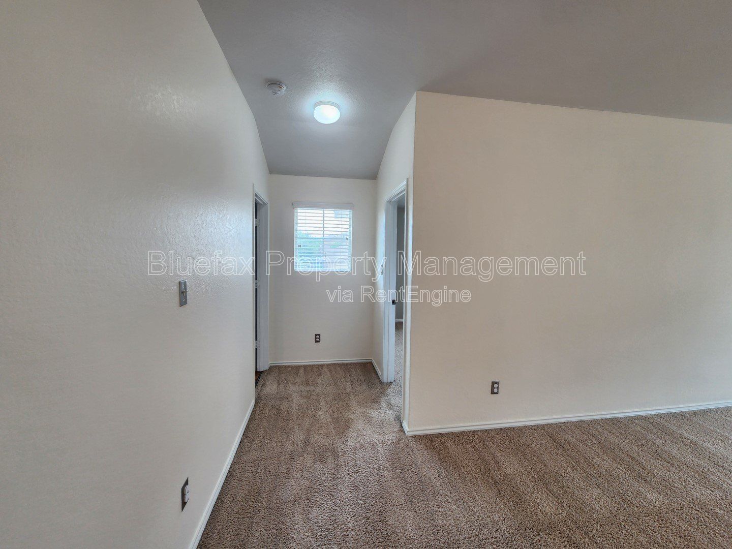 Gallery Image 38