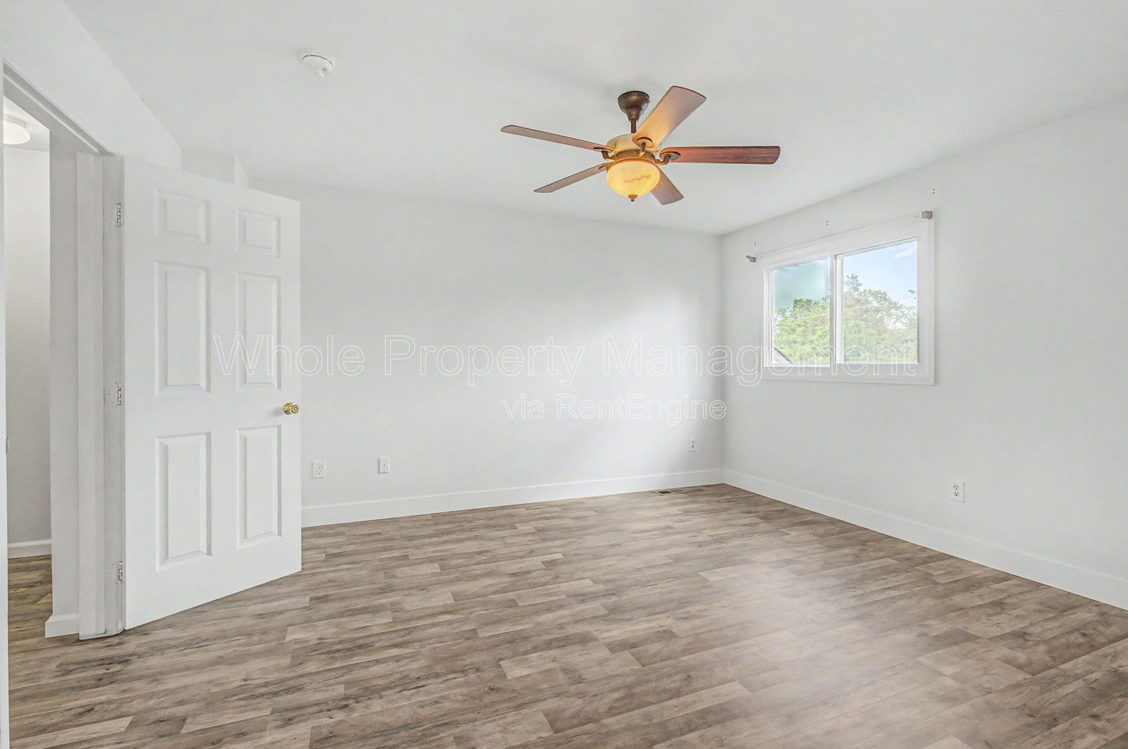 Gallery Image 16