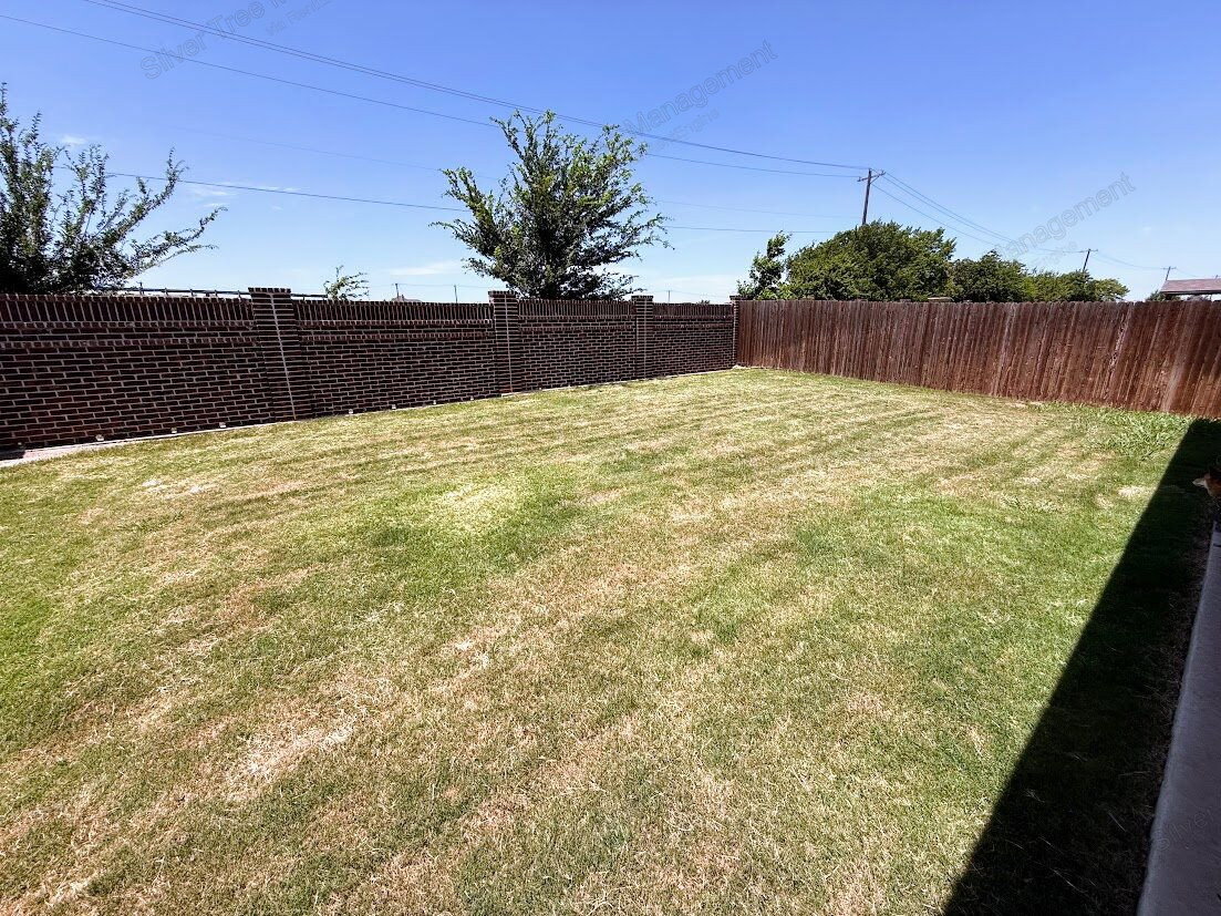 Gallery Image 37