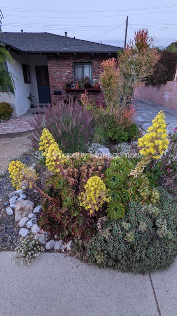 Gallery Image 66