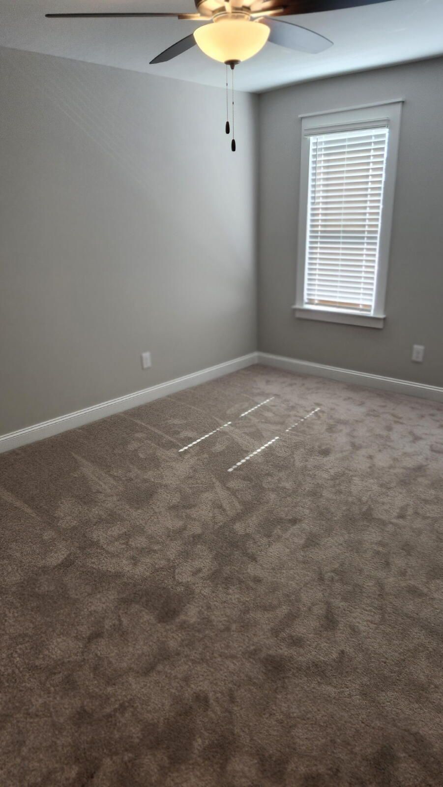 Gallery Image 30