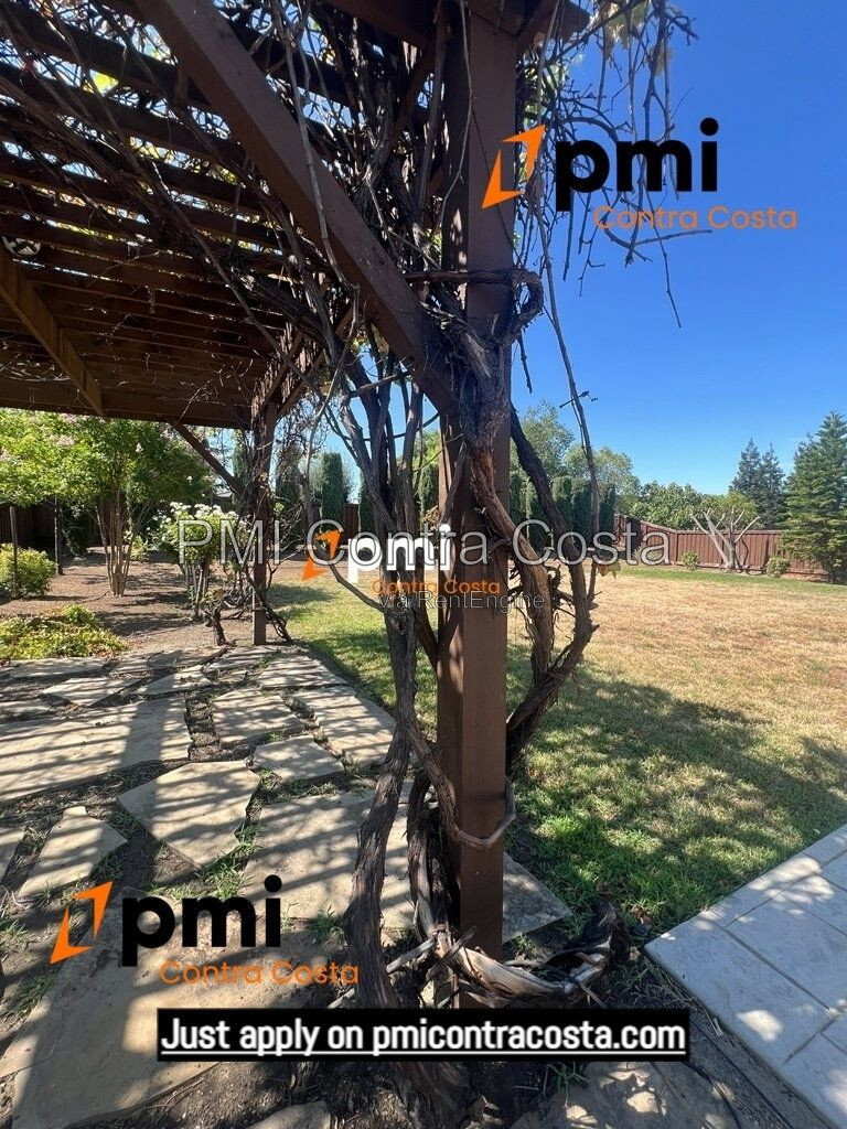 Gallery Image 51
