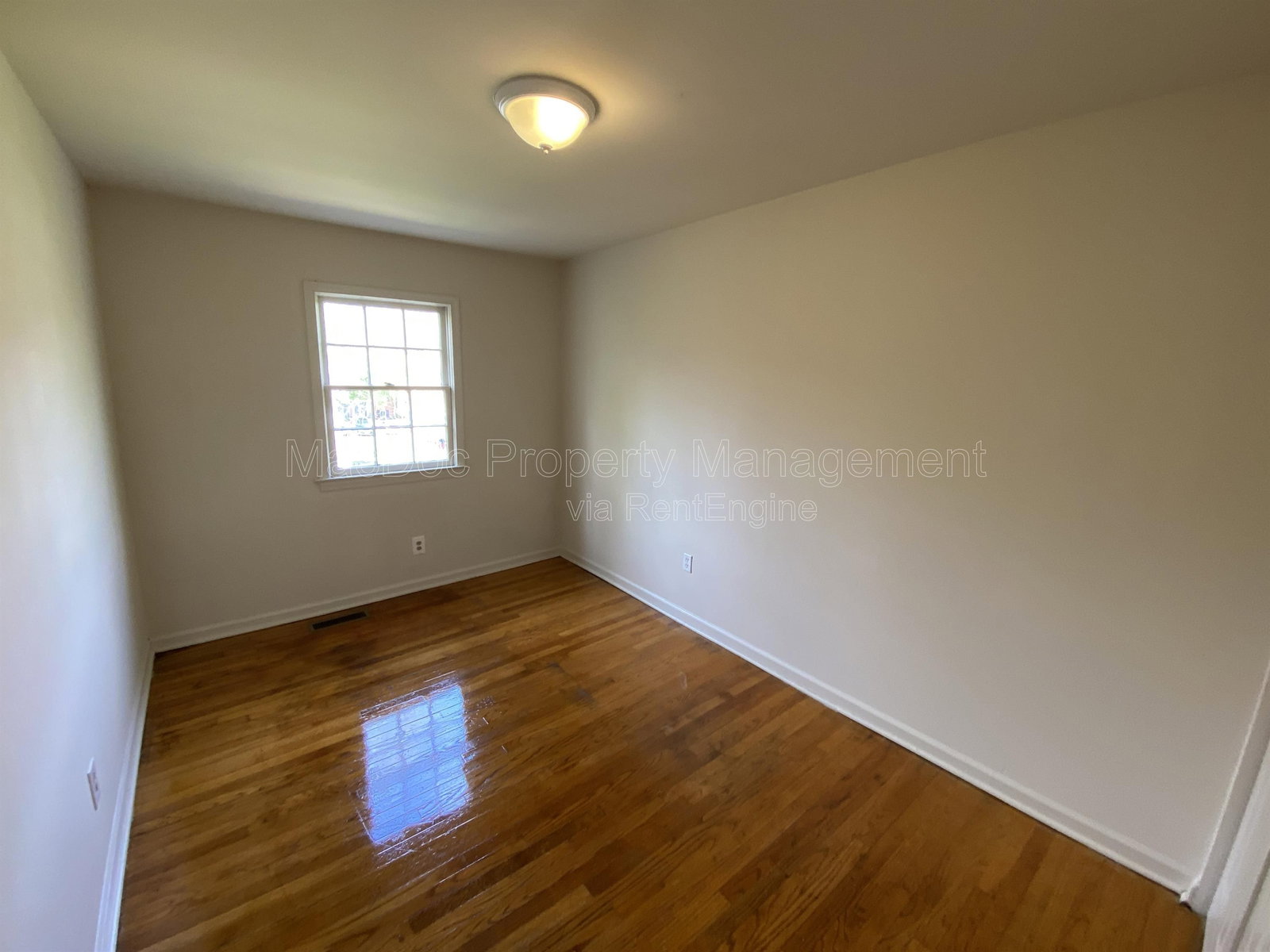 Gallery Image 16