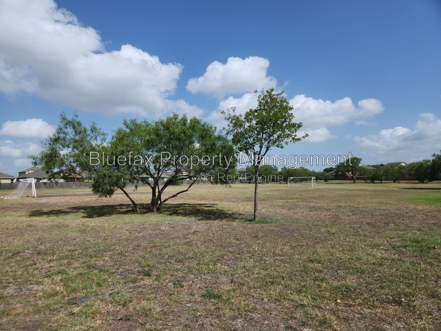 Gallery Image 33