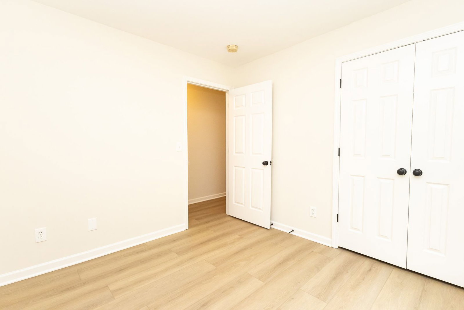 Gallery Image 19