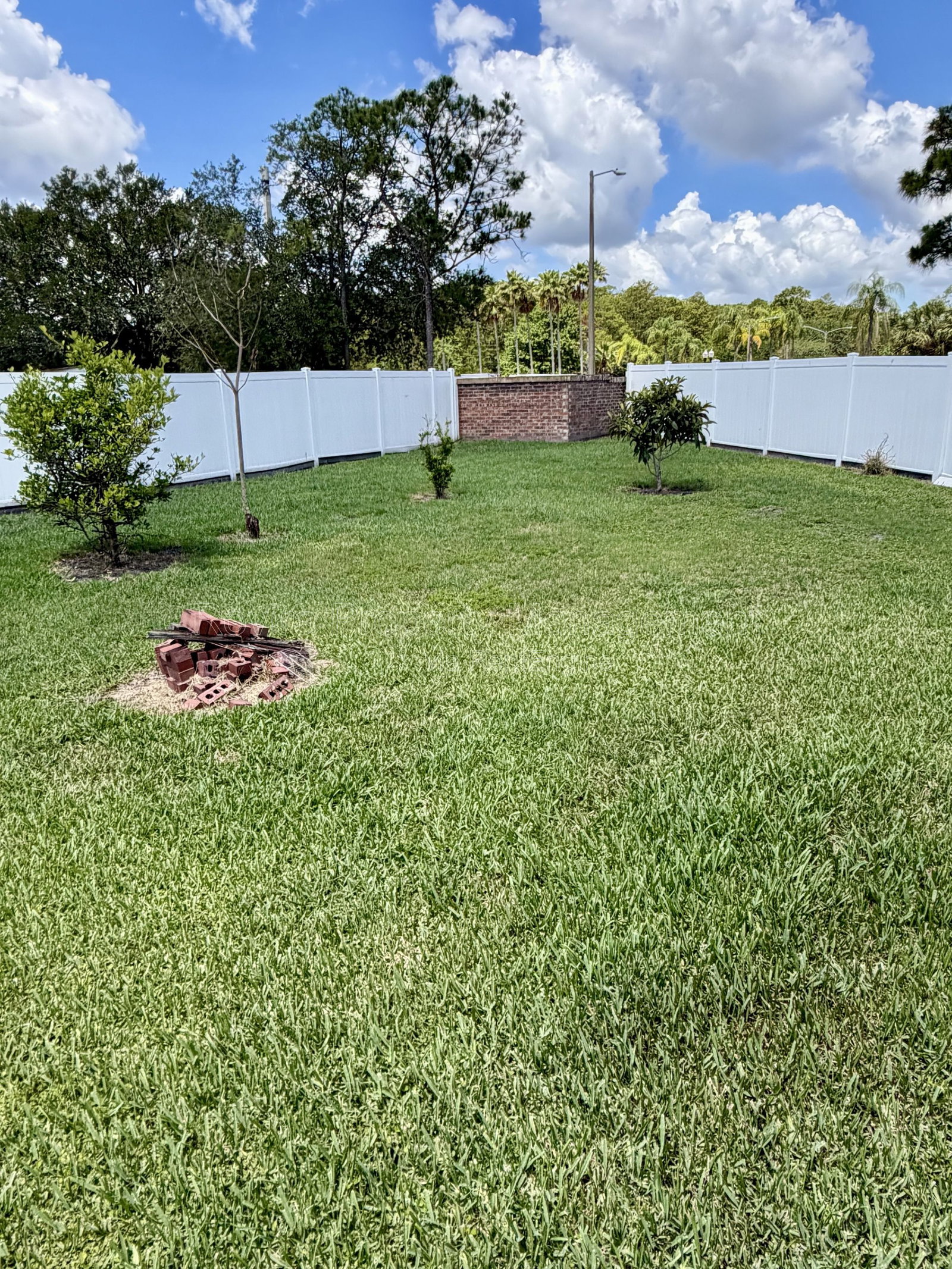 Gallery Image 17
