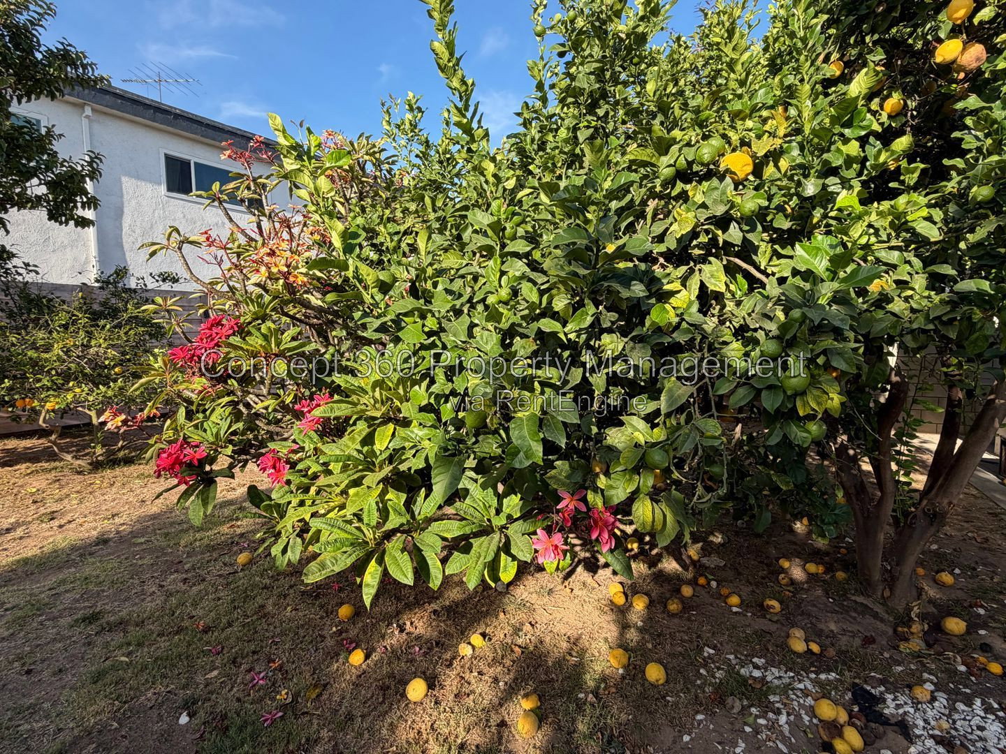 Gallery Image 48