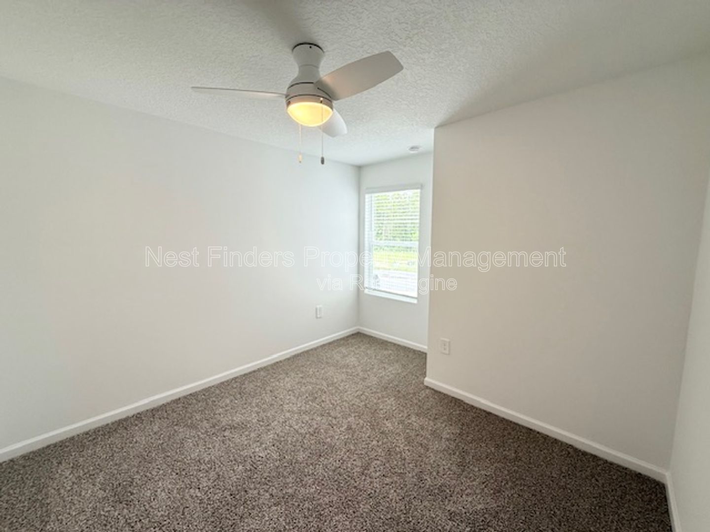 Gallery Image 20