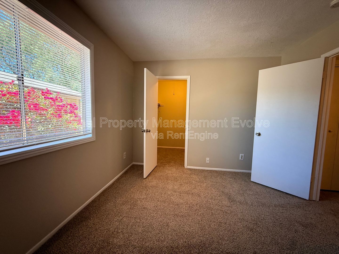 Gallery Image 20