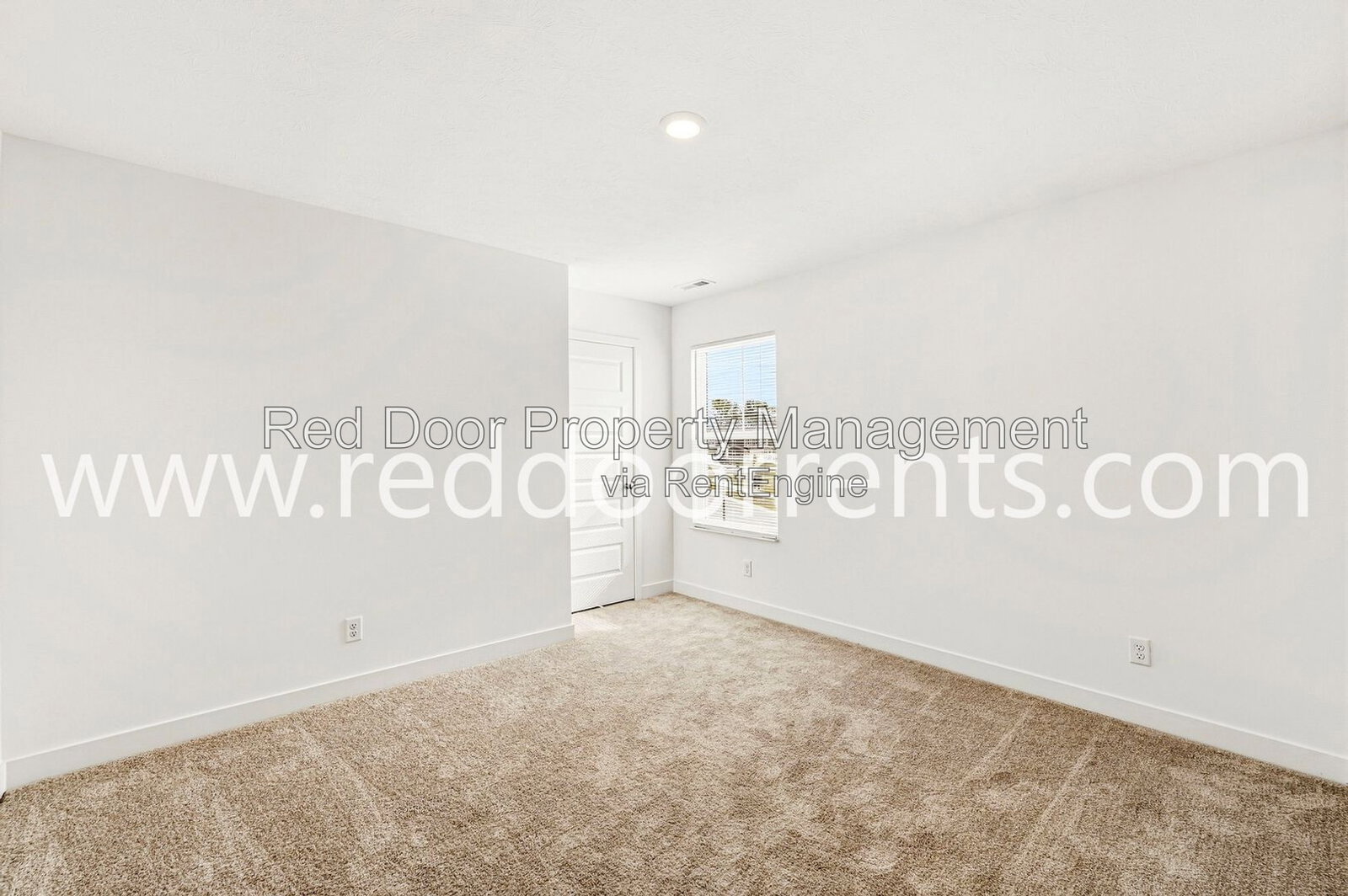 Gallery Image 42