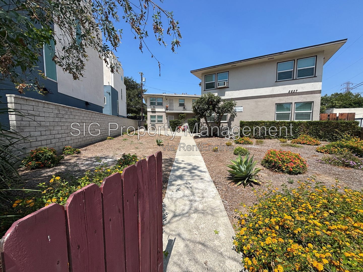 Gallery Image 16