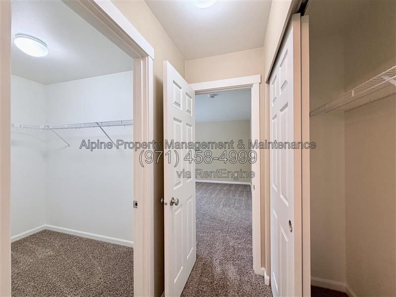 Gallery Image 38