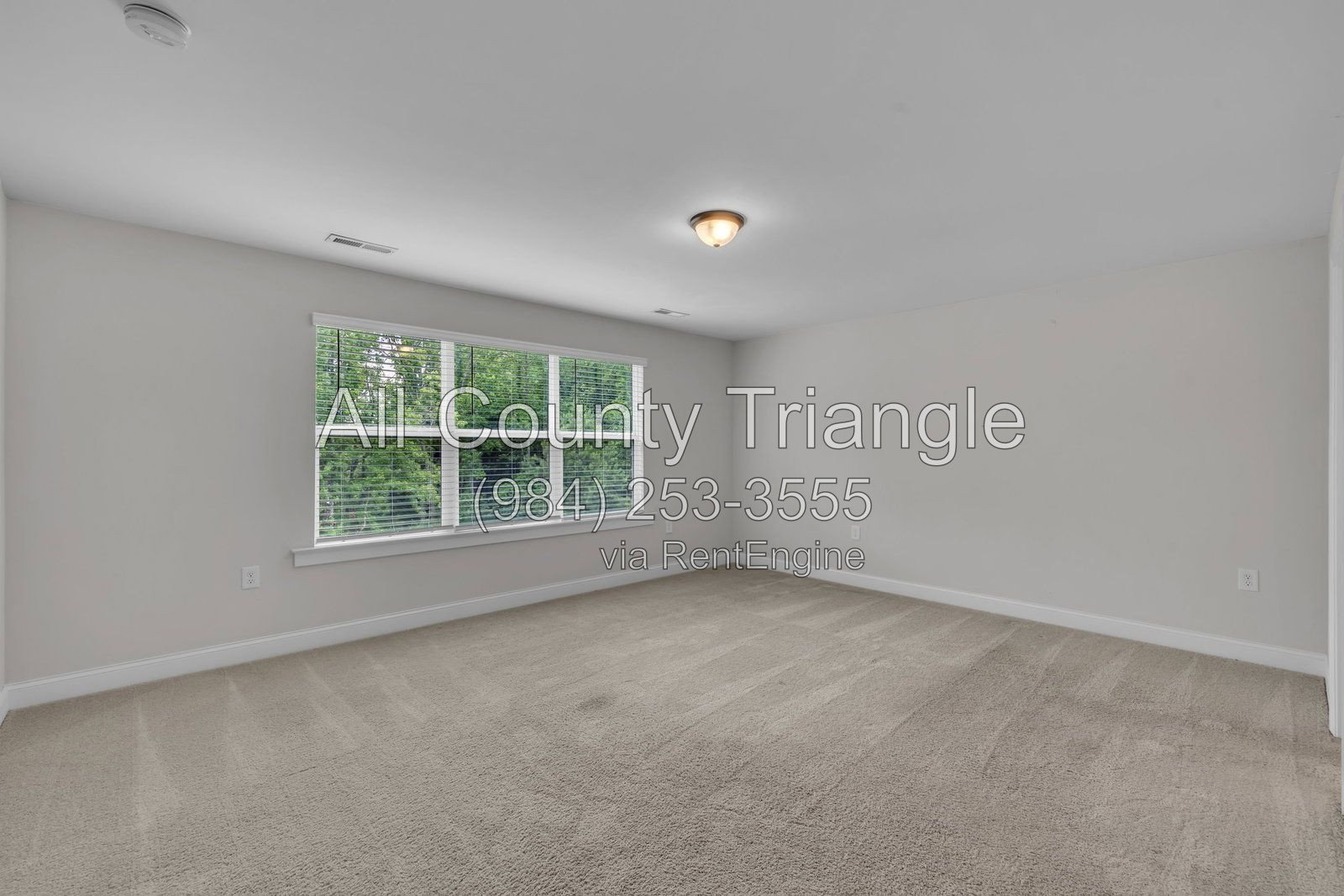 Gallery Image 32