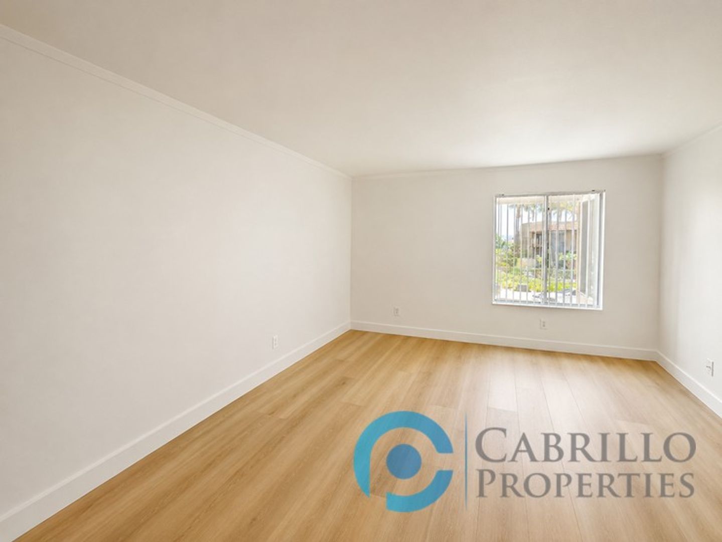 Gallery Image 8